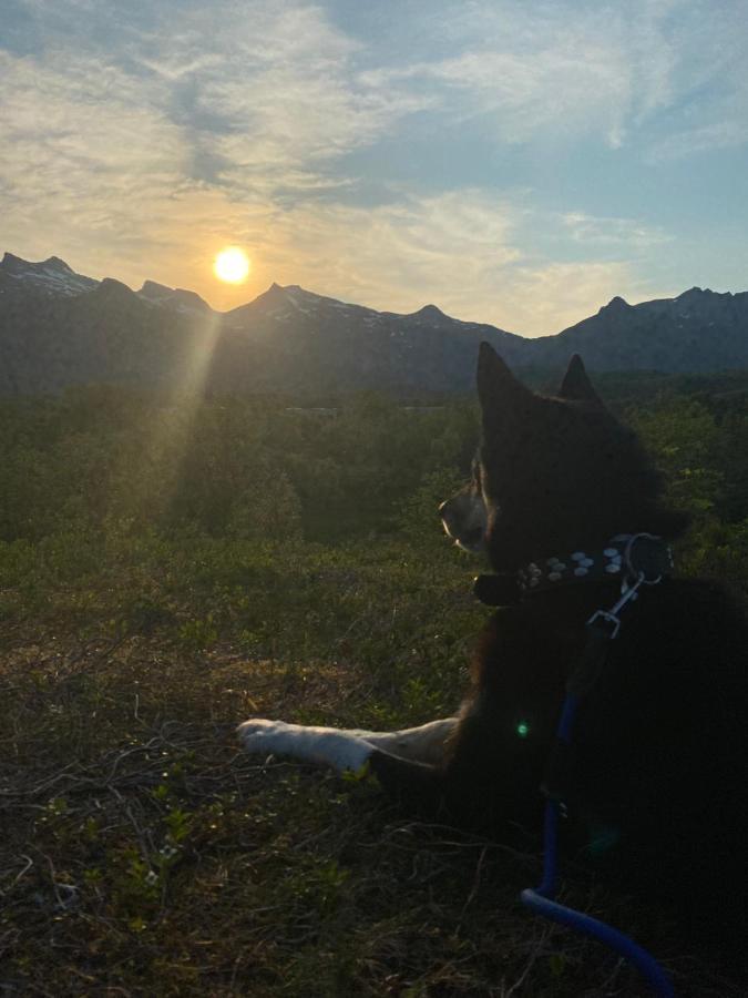 Nydelig Leilighet Pa Kreta I Lofoten Kabelvåg Dış mekan fotoğraf